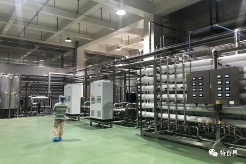 廣東實現(xiàn)保健食品生產(chǎn)企業(yè)體系檢查全覆蓋，數(shù)據(jù)處理服務助力精準監(jiān)管