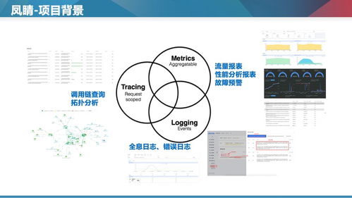 Apache Doris 在商業大規模微服務全鏈路監控中的數據處理服務實踐